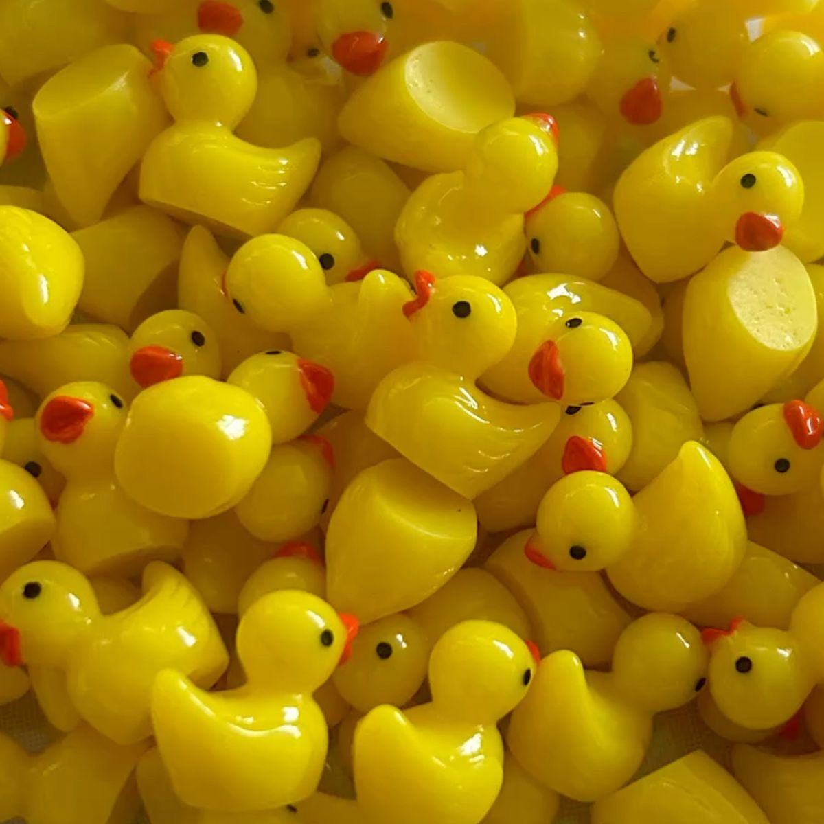 Mini ducks البط المبطبط 🐥☺️