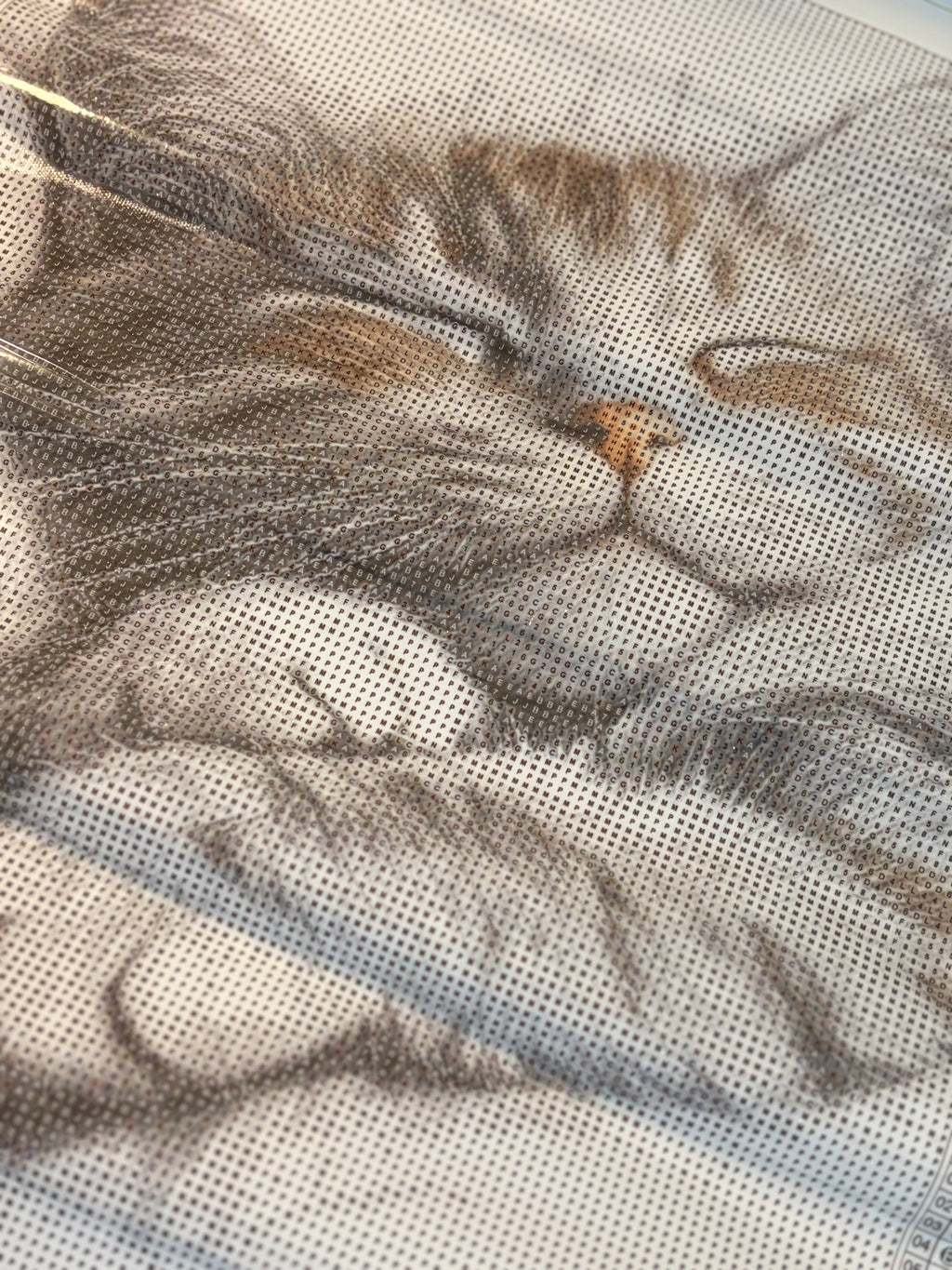 Diamond Painting Sleepy cat ✨