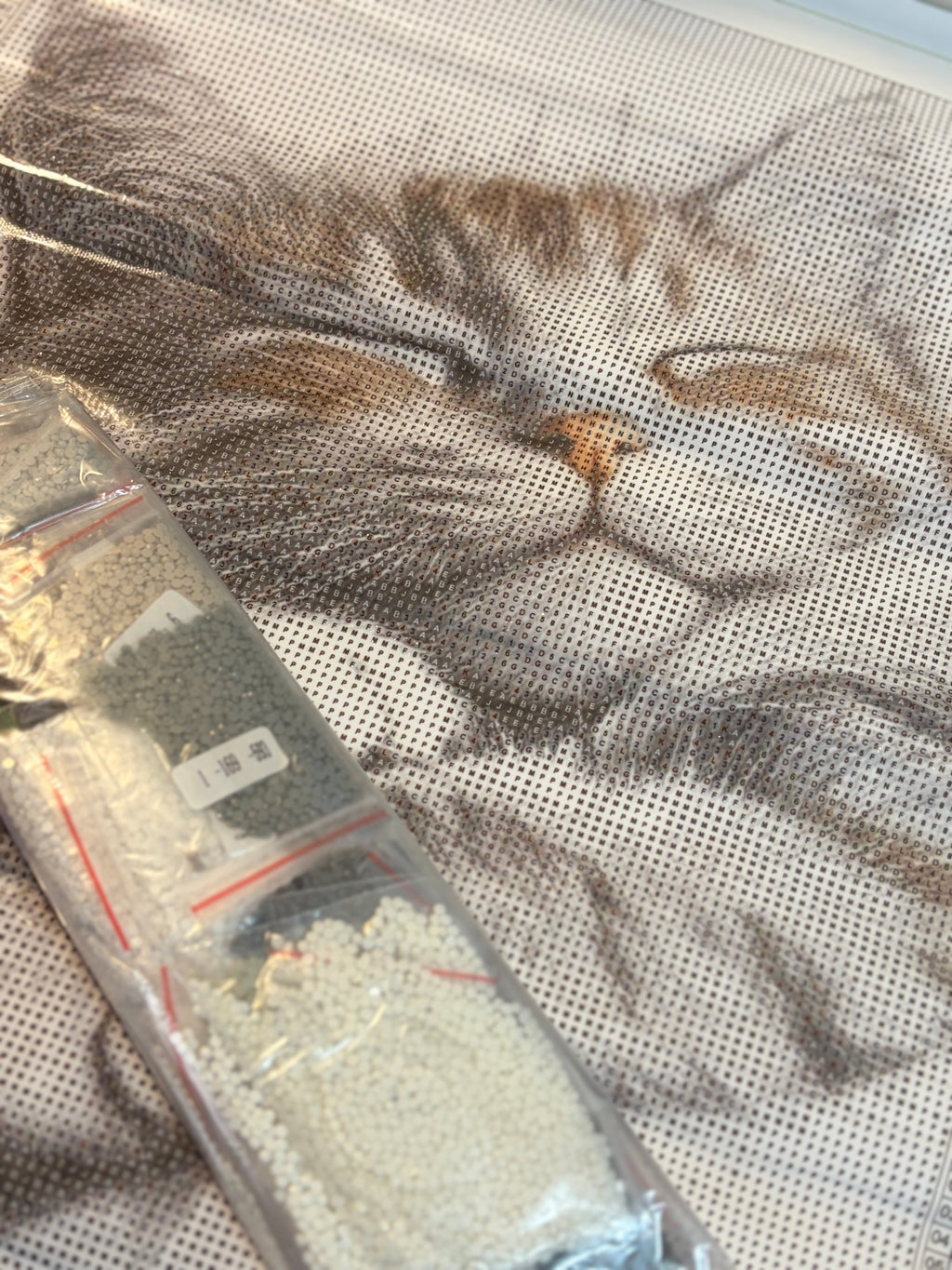 Diamond Painting Sleepy cat ✨