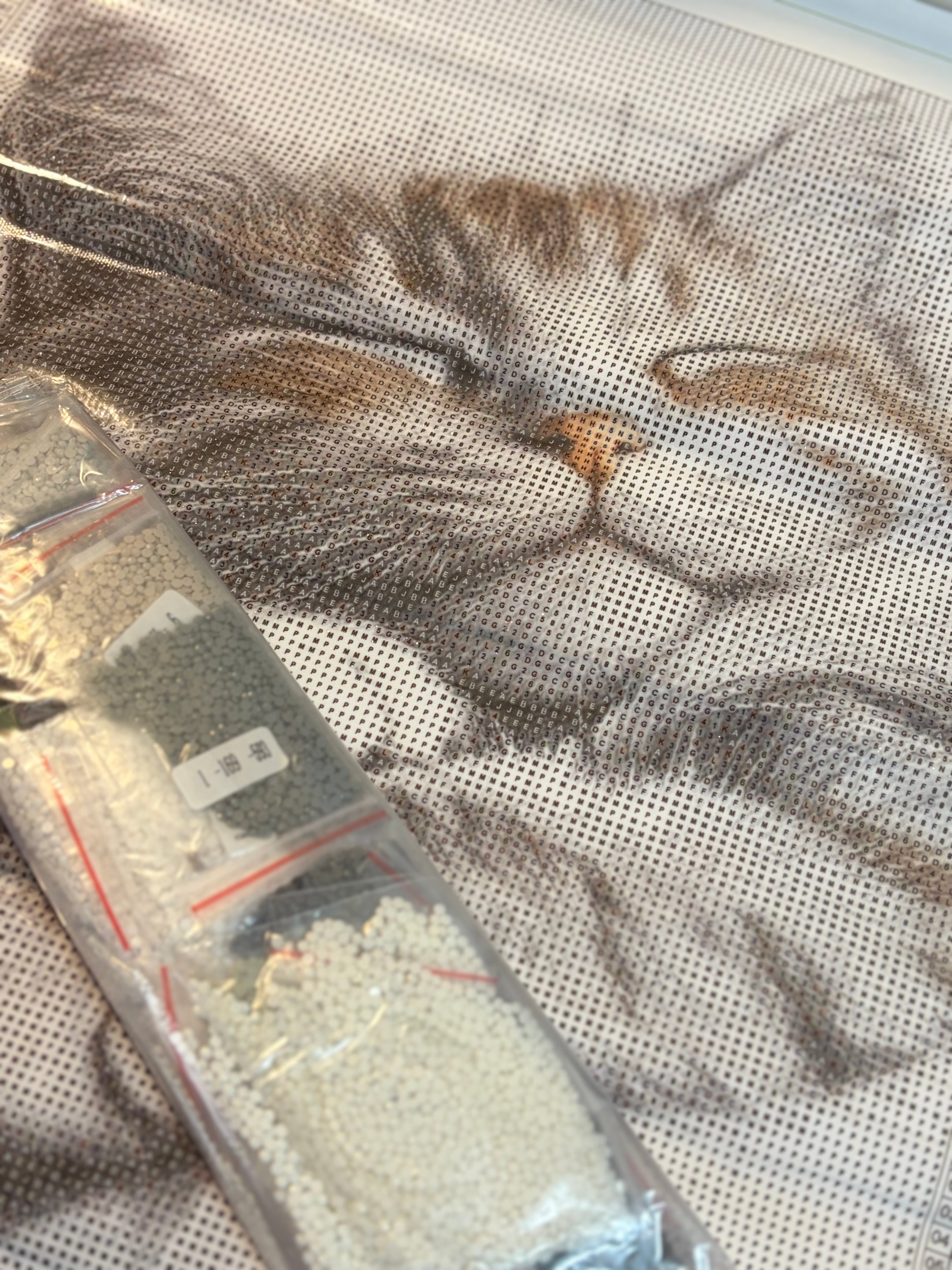 Diamond Painting Sleepy cat ✨