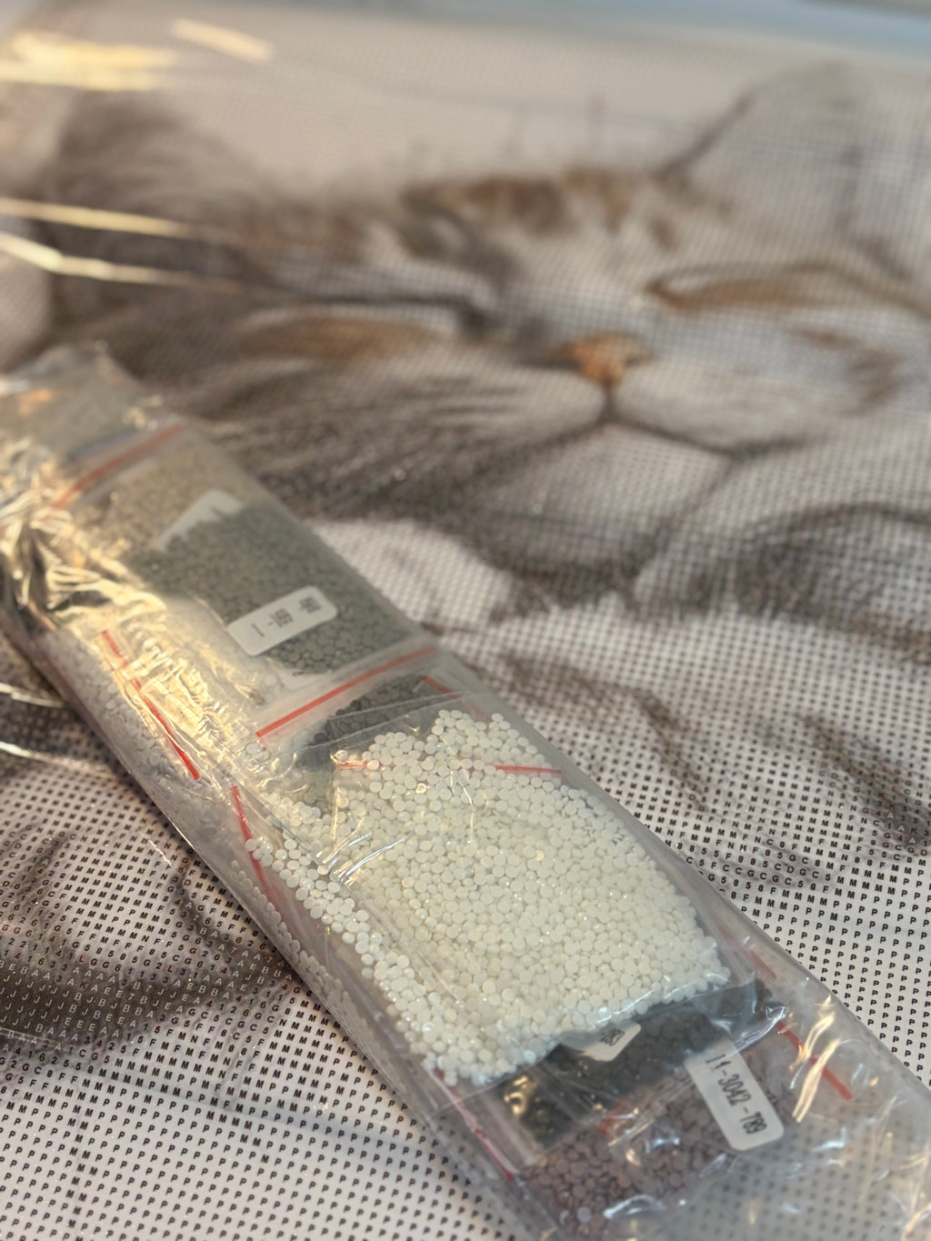 Diamond Painting Sleepy cat ✨