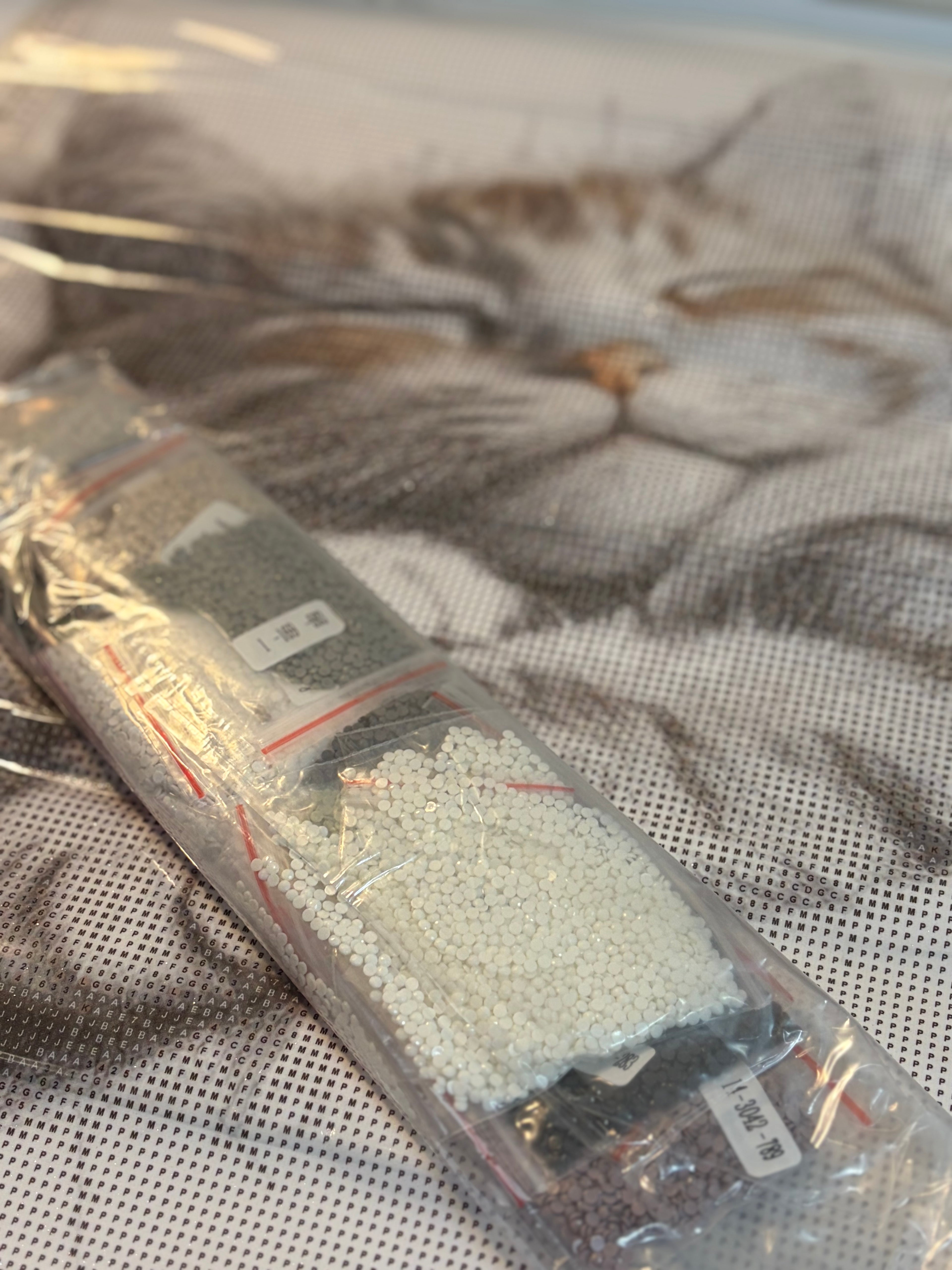 Diamond Painting Sleepy cat ✨