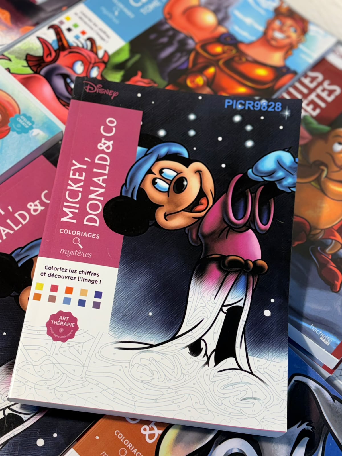 Mickey, Donald & Co Coloring Book